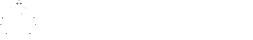 Data With Style long logo in white